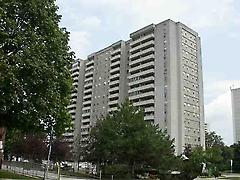 1338 York Mills Rd, Toronto, Ontario, M3A3M3