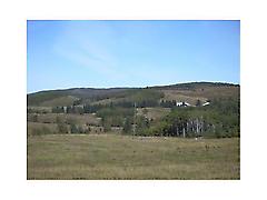 5.07 Acres Near Millarville, Rural Foothills M.D., AB, T0L1K0