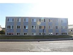 # 11 7103 81 Av, Edmonton, AB, T6B0E1