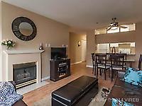 #411 770 Poplar Street