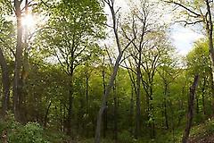 66 Baby Point Rd, Toronto, Ontario, M6S2G3