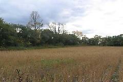 9320 Ashburn Rd, Whitby, Ontario, L0B1A0