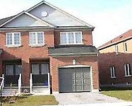 74 Guinevere Rd