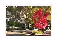 5605 Hampton Place