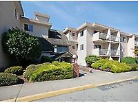# 113 11816 88 Th Av
